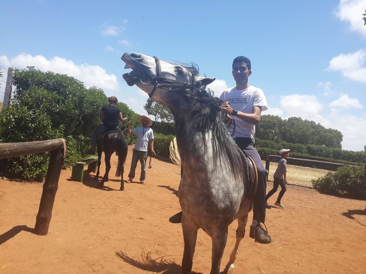 Balade à cheval